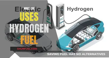 Hydrogen Fuel Cars: Which Models Use This Technology?