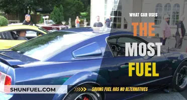 Gas Guzzlers: Which Car Consumes the Most Fuel?