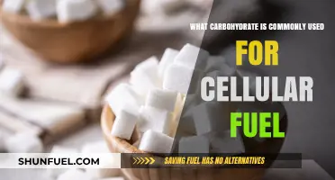 Glucose: The Essential Carbohydrate Fueling Cellular Energy Production