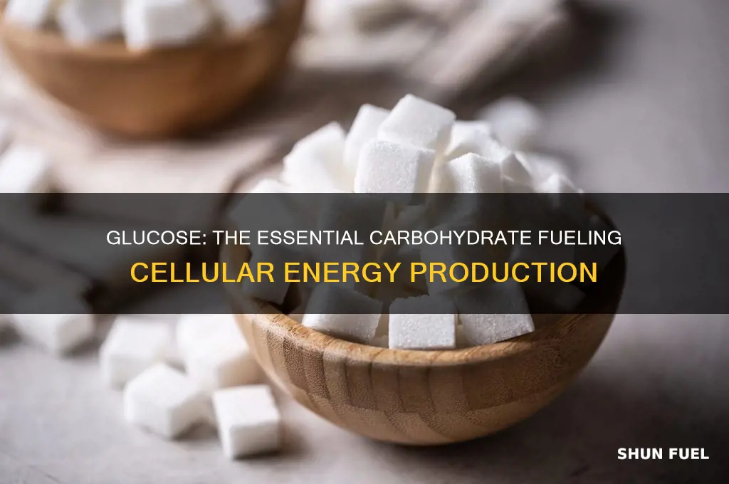 what carbohydrate is commonly used for cellular fuel