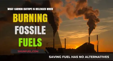 Fossil Fuel Combustion: The Carbon Isotope Trail