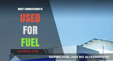 Carrageenan's Surprising Role in Sustainable Fuel Innovations Explained