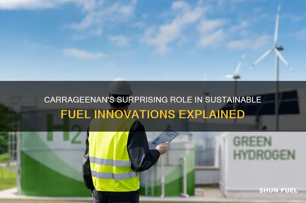 what carrageenan is used for fuel