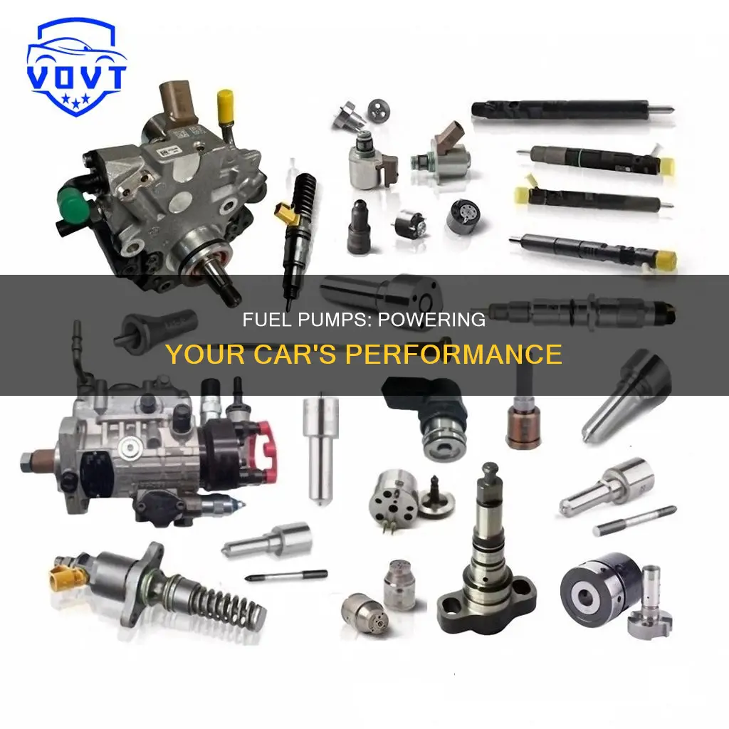 what carries fuel from tank to engine