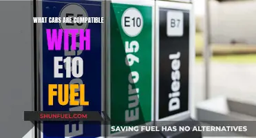 Cars Compatible with E10 Fuel: A Comprehensive Guide