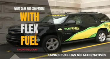 Flex Fuel Cars: Which Models Are Compatible?