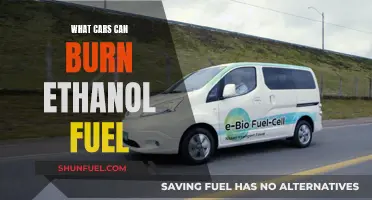 Ethanol-Compatible Cars: Which Vehicles Can Use This Fuel?