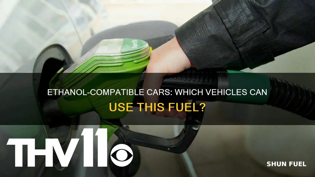 what cars can burn ethanol fuel