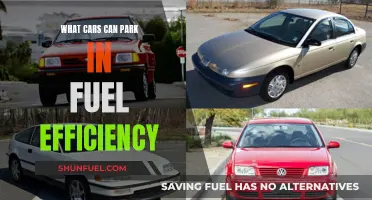 Fuel-Efficient Parking: Compact Cars Rule the Lot