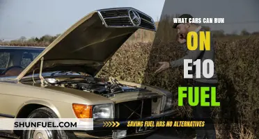 E10 Fuel Compatibility: Which Cars Can Safely Run on It?