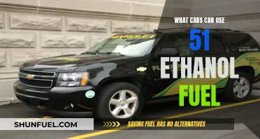Cars Compatible with 51% Ethanol Fuel: The Complete List