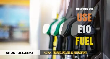 E10 Fuel Compatibility: Which Cars Can Safely Use It?