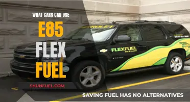 Flex Fuel Vehicles: E85 Compatibility and Car Options