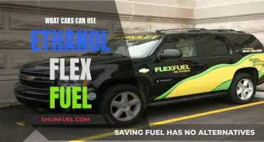 Ethanol Flex Fuel: Which Cars Can Use It?