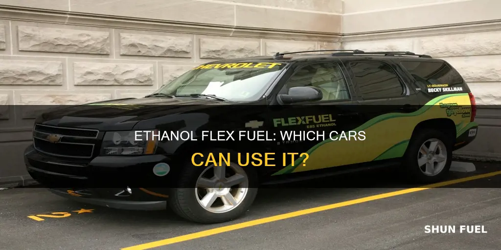 what cars can use ethanol flex fuel