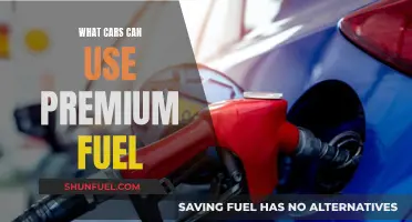 Premium Fuel: Which Cars Need It?