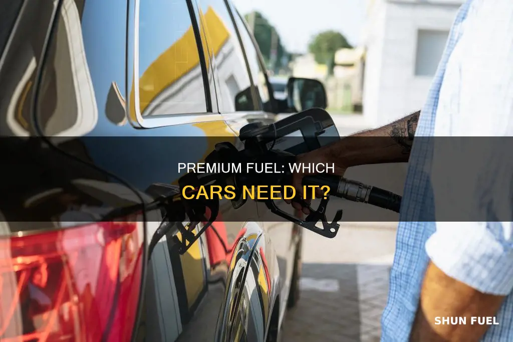 what cars can use premium fuel