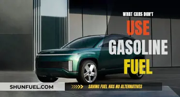 Electric and Alternative Fuel Cars: Beyond Gasoline Engines