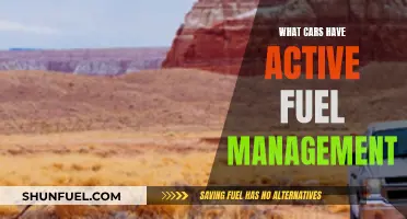 Fuel Efficiency: Cars with Active Fuel Management Systems