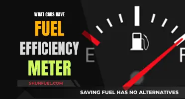 Fuel Efficiency Meter: Which Cars Have This Feature?