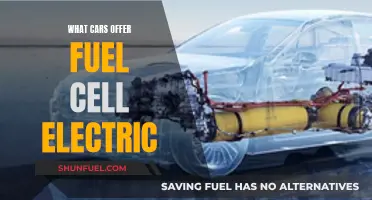 Fuel Cell Electric Cars: Which Models Offer This?