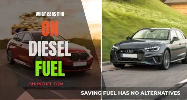 Diesel Cars: Which Vehicles Run on This Fuel?