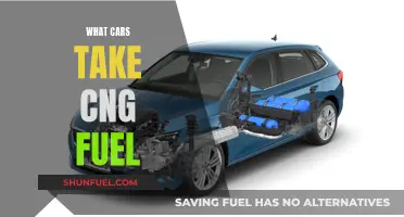 CNG-Fueled Cars: Exploring Your Green Vehicle Options