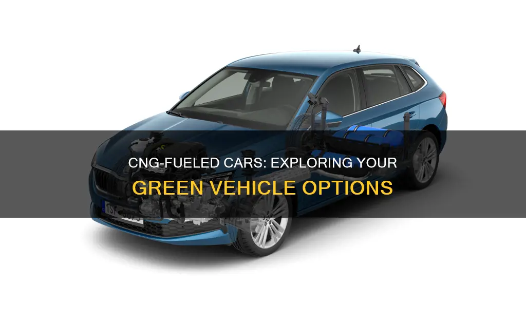 what cars take cng fuel