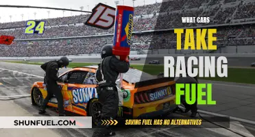Racing Fuel Cars: Which Models Take This Special Blend?