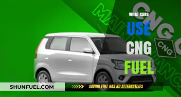 Exploring CNG-Powered Vehicles: Which Cars Run on Compressed Natural Gas?