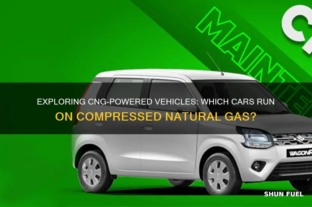 what cars use cng fuel