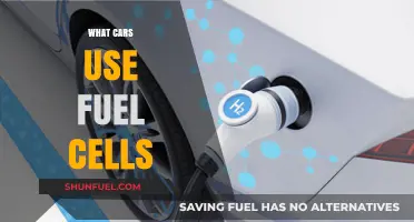 Exploring Fuel Cell Technology: Which Cars Run on Hydrogen Power?