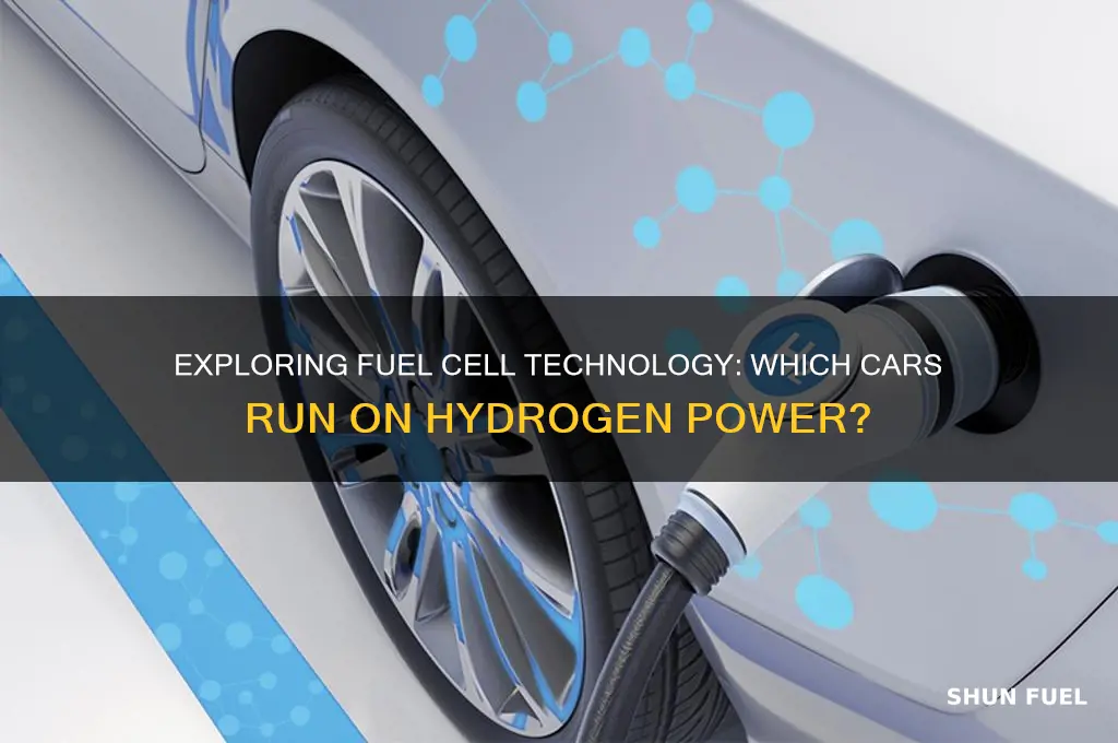 what cars use fuel cells