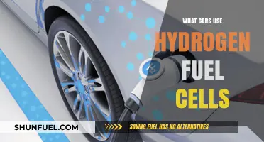 Hydrogen Fuel Cell Cars: Brands, Models, and Future Innovations