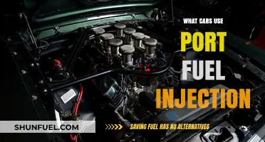Exploring Vehicles Equipped with Port Fuel Injection Technology