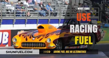 Racing Fuel: Which High-Performance Cars Require Specialized Fuel?