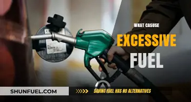 Excessive Fuel Consumption: Common Causes and Practical Solutions Explained