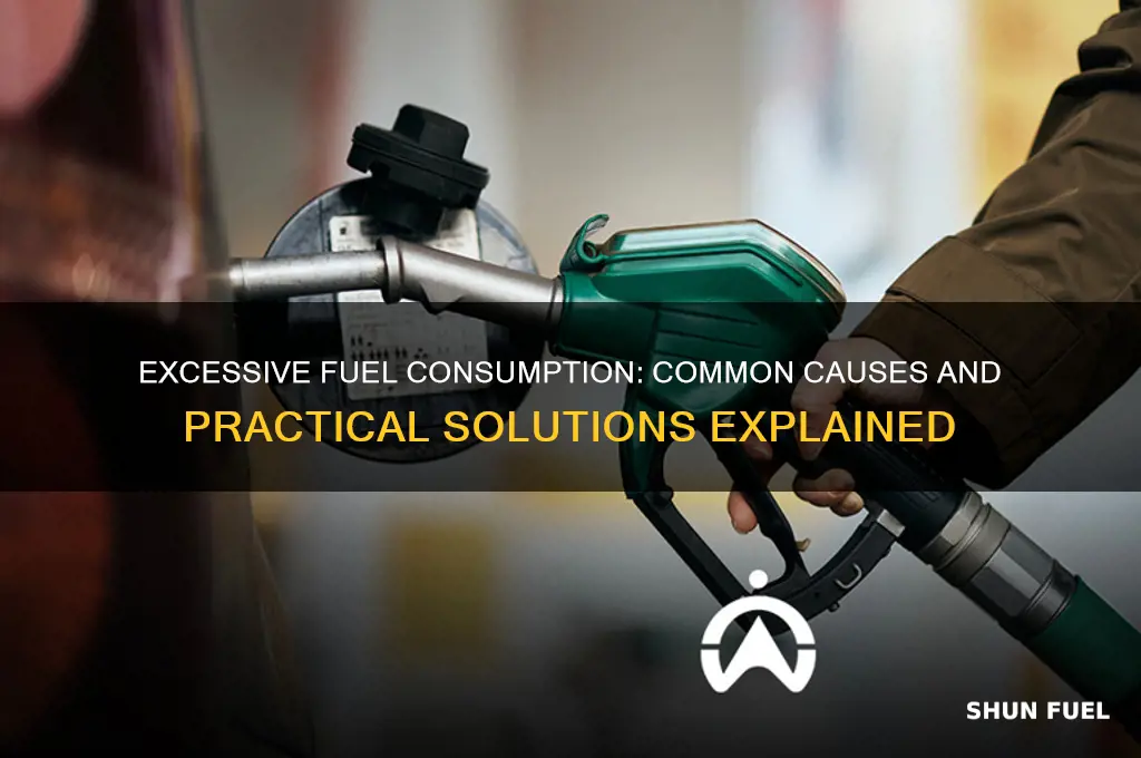what casuse excessive fuel