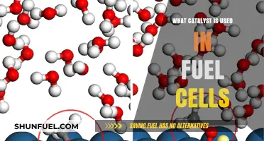 Catalysts in Fuel Cells: Key Materials for Efficient Energy Conversion