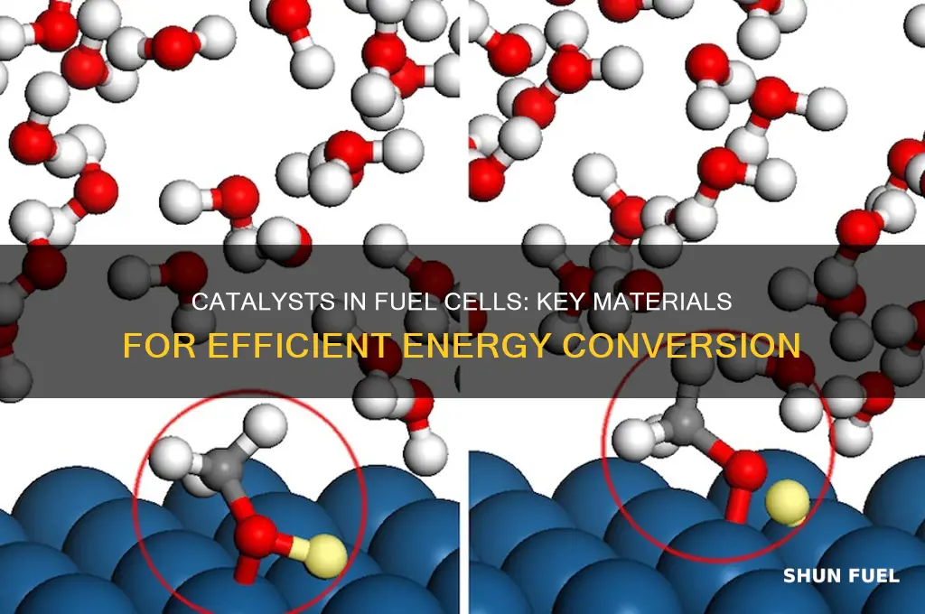 what catalyst is used in fuel cells