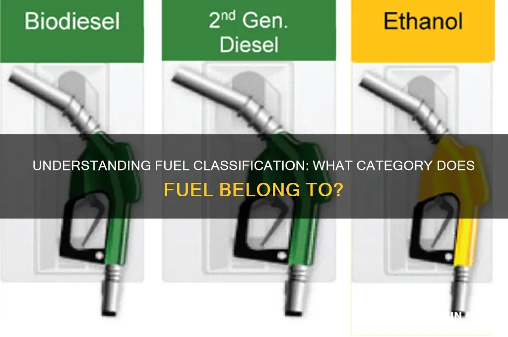 what category is fuel