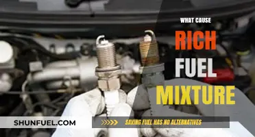 Understanding the Causes of a Rich Fuel Mixture in Engines