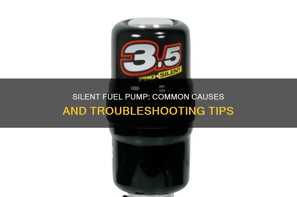 what cause the fuel pump to not make a noise