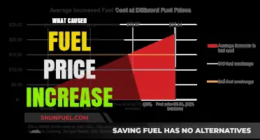 Rising Fuel Costs: Unraveling the Factors Behind the Price Surge