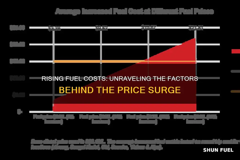 what caused fuel price increase