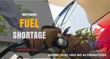 Unraveling the Crisis: Key Factors Behind the Fuel Shortage Explained