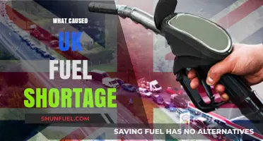UK Fuel Crisis: Unraveling the Causes Behind the Shortage
