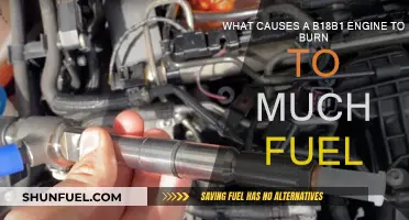 Troubleshooting Excess Fuel Consumption in B18B1 Engines