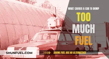 Why Cars Dump Excess Fuel and How to Prevent It
