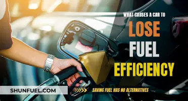 Factors Affecting Fuel Efficiency in Cars